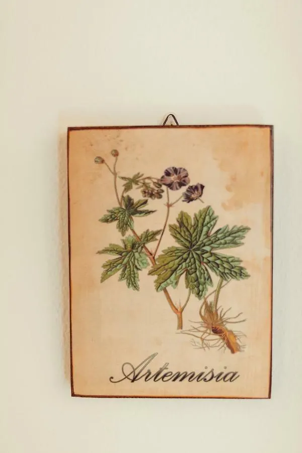 B&B Artemisia 阿尔盖罗 意大利