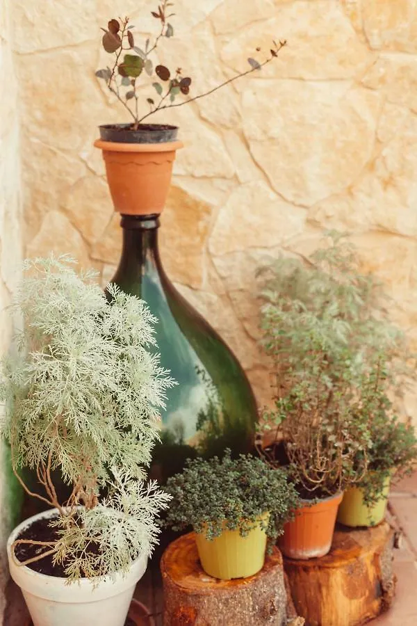 Bed & Breakfast B&B Artemisia Alghero